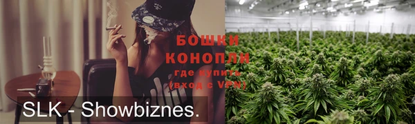 молекула духа Нягань