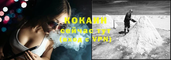 ешки Няндома