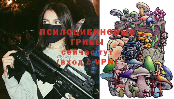 гидра Нязепетровск