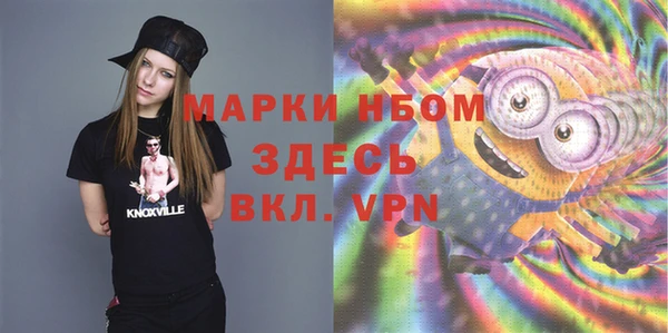 ешки Няндома
