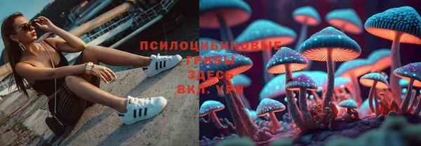 ешки Няндома
