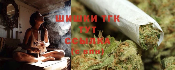 гидра Нязепетровск
