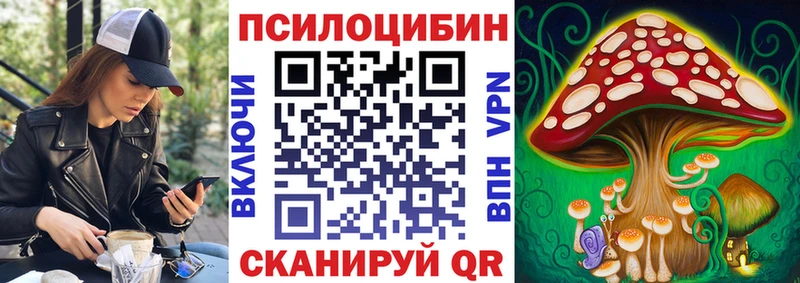 наркота Тбилисская гидра маркетплейс Галлюциногенные грибы Magic Shrooms